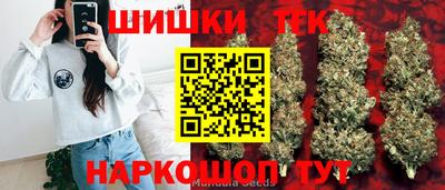шишки Будённовск