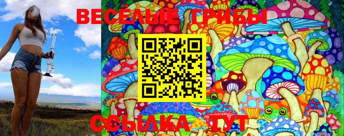 Галлюциногенные грибы Psilocybine cubensis  Галлюциногенные грибы Cubensis  Находка  Вход с VPN 