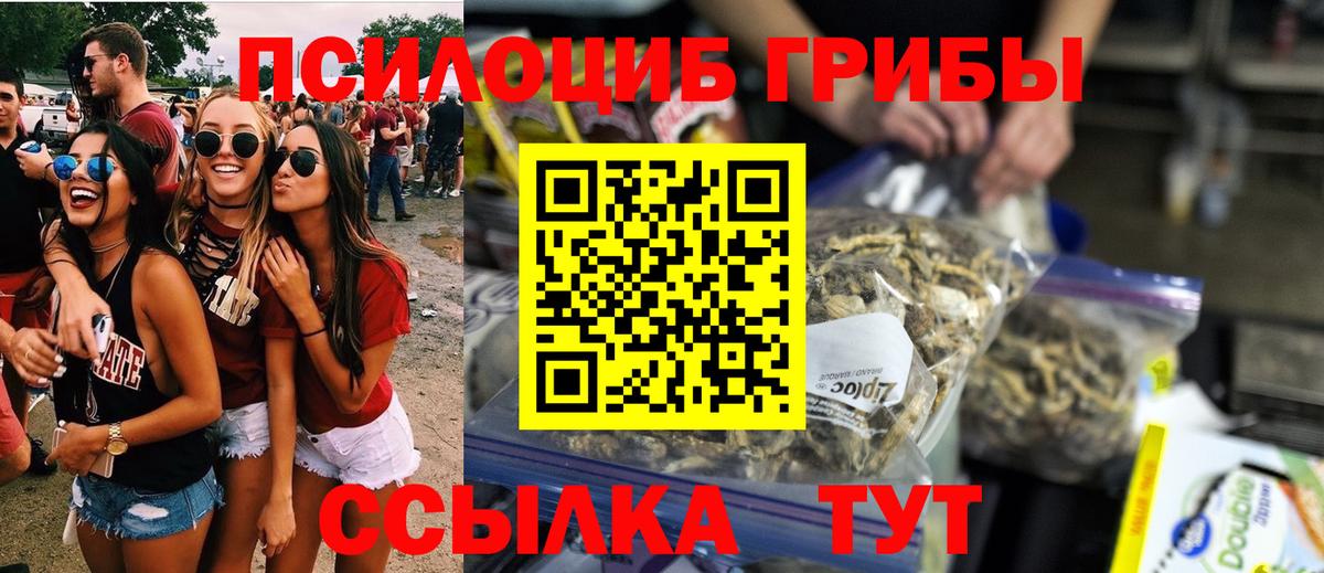 Псилоцибиновые грибы прущие грибы Находка